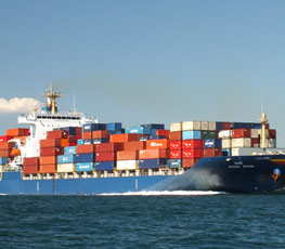 Transportation Services in Guntur