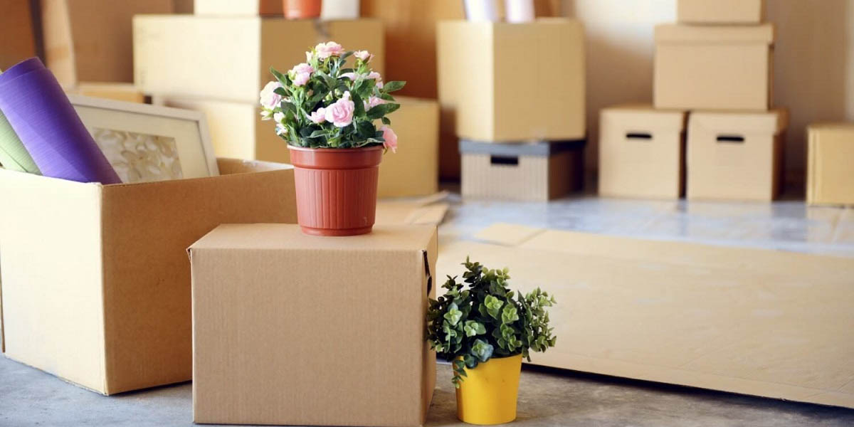 packers and movers in Guntur